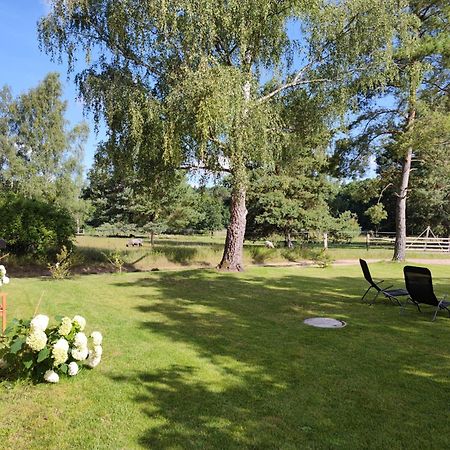 Forsthaus Zartwitzer Huette Daire Rechlin Dış mekan fotoğraf